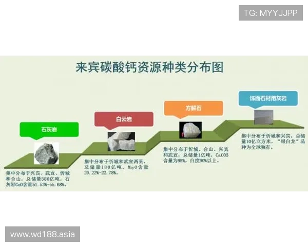 全面解析Bet365亚洲体育平台的优势与最新发展趋势